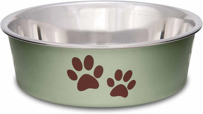Stainless Steel Dog & Cat Bowl | Spill-Resistant Feeding Bowl (various colors) Artichoke Small