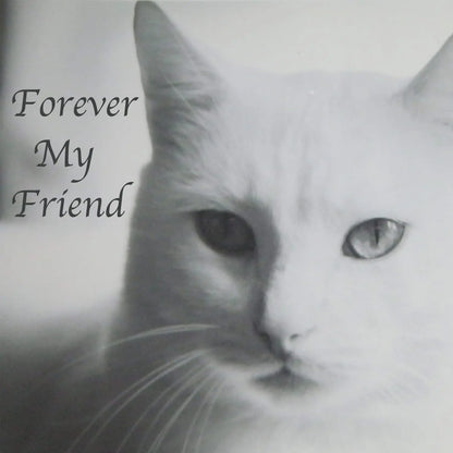 Stainless Steel Pet Memorial Urn for Cats & Small Dogs with Secure Lid Keepsake