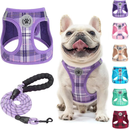 Step-In Dog Harness & Leash Set in Various Patterns – Reflective No Pull (XS- XL) Purple