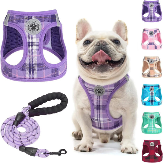 Step-In Dog Harness & Leash Set in Various Patterns – Reflective No Pull (XS- XL) Purple