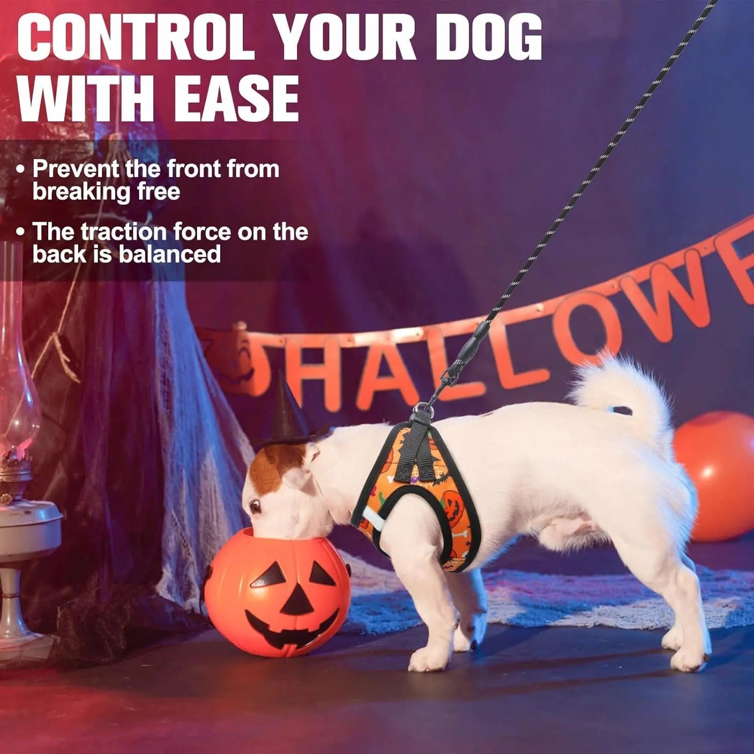 Step-In Dog Harness & Leash Set in Various Patterns – Reflective No Pull (XS- XL)