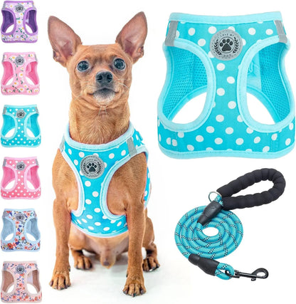 Step-In Dog Harness & Leash Set in Various Patterns – Reflective No Pull (XS- XL) Blue Polka Dots