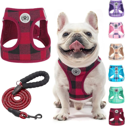 Step-In Dog Harness & Leash Set in Various Patterns – Reflective No Pull (XS- XL) Red