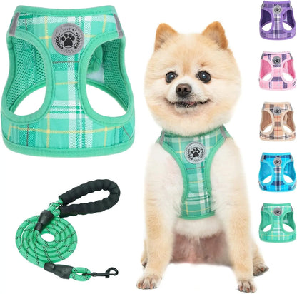 Step-In Dog Harness & Leash Set in Various Patterns – Reflective No Pull (XS- XL) Turquoise Xsmall(Chest Girth 13" - 14.5")