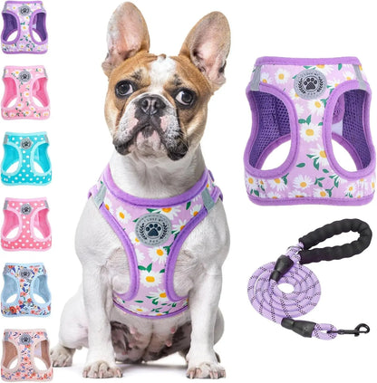 Step-In Dog Harness & Leash Set in Various Patterns – Reflective No Pull (XS- XL) Purple Daisy