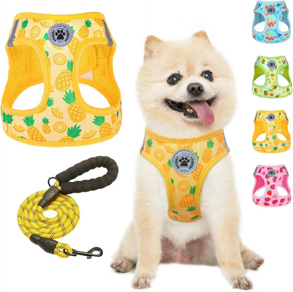 Step-In Dog Harness & Leash Set in Various Patterns – Reflective No Pull (XS- XL) Pineapple