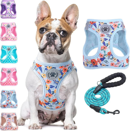 Step-In Dog Harness & Leash Set in Various Patterns – Reflective No Pull (XS- XL) Blue Rose