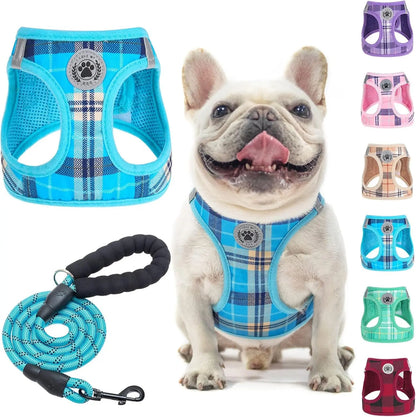 Step-In Dog Harness & Leash Set in Various Patterns – Reflective No Pull (XS- XL) Blue