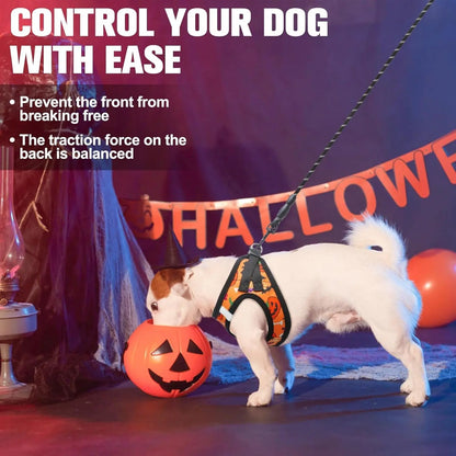 Step-In Dog Harness & Leash Set in Various Patterns – Reflective No Pull (XS- XL)