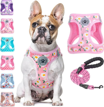 Step-In Dog Harness & Leash Set in Various Patterns – Reflective No Pull (XS- XL) Pink Daisy