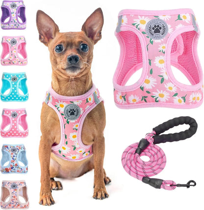 Step-In Dog Harness & Leash Set in Various Patterns – Reflective No Pull (XS- XL) Pink Daisy