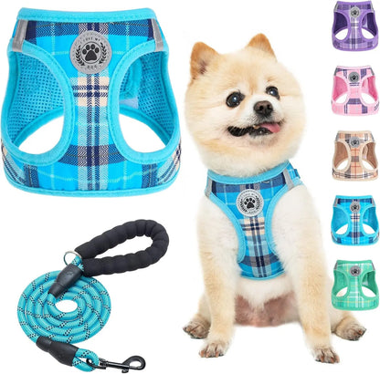 Step-In Dog Harness & Leash Set in Various Patterns – Reflective No Pull (XS- XL) Blue