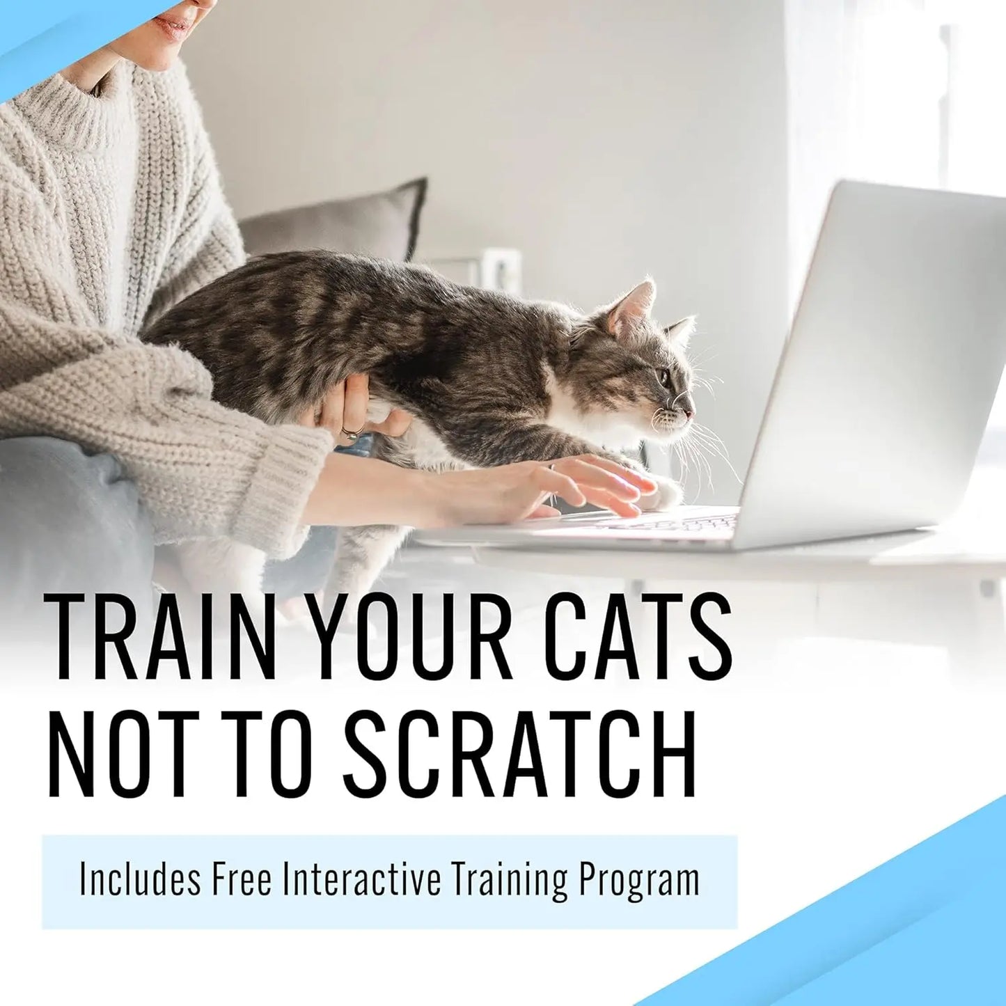Stop the Scratch Kittens & Cat Deterrent Spray Rosemary Oil Non-Toxic Trainer