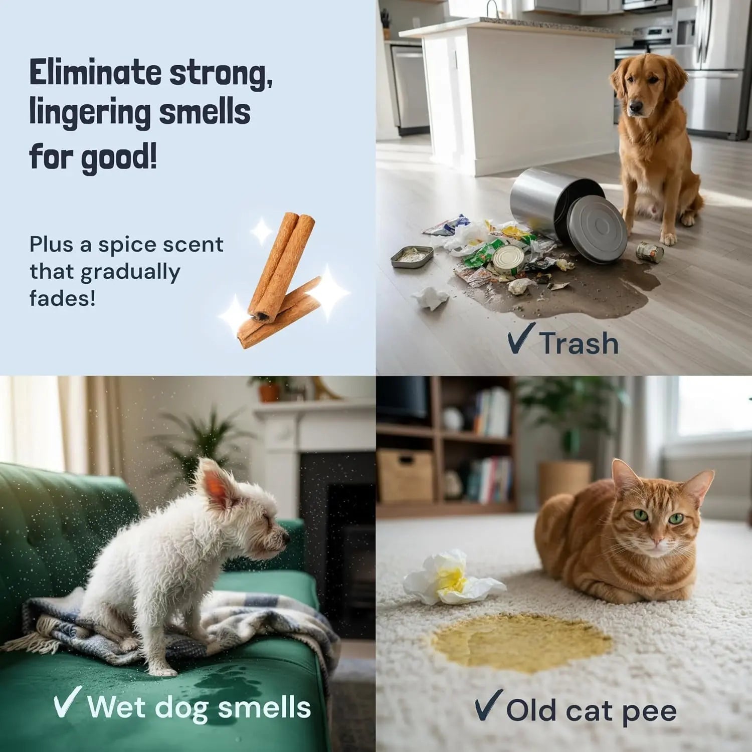 Pet Stain & Odor Remover Enzyme Cleaner Dog & Cat Urine Spray(Lavender & Mint)