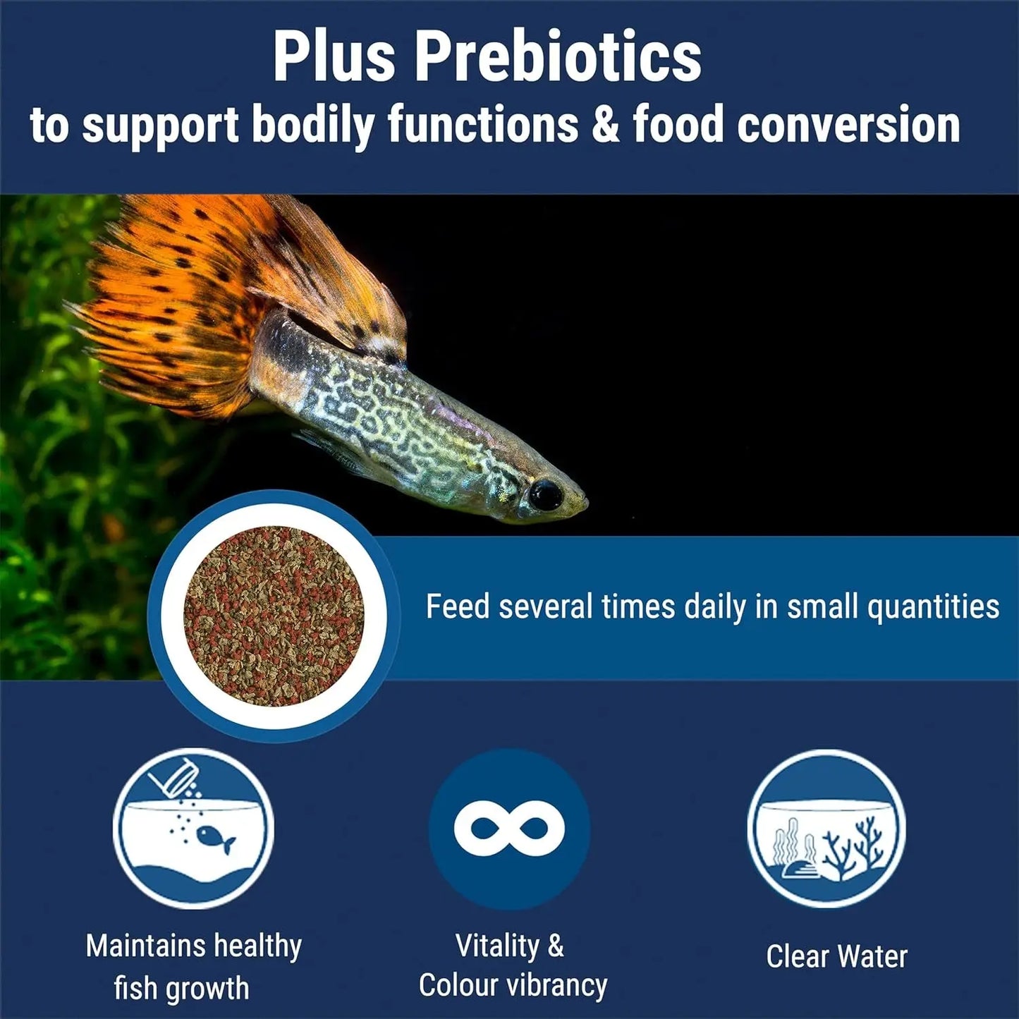 TetraMin Tropical Flake Fish Food Balanced Nutrition Clear Water Formula