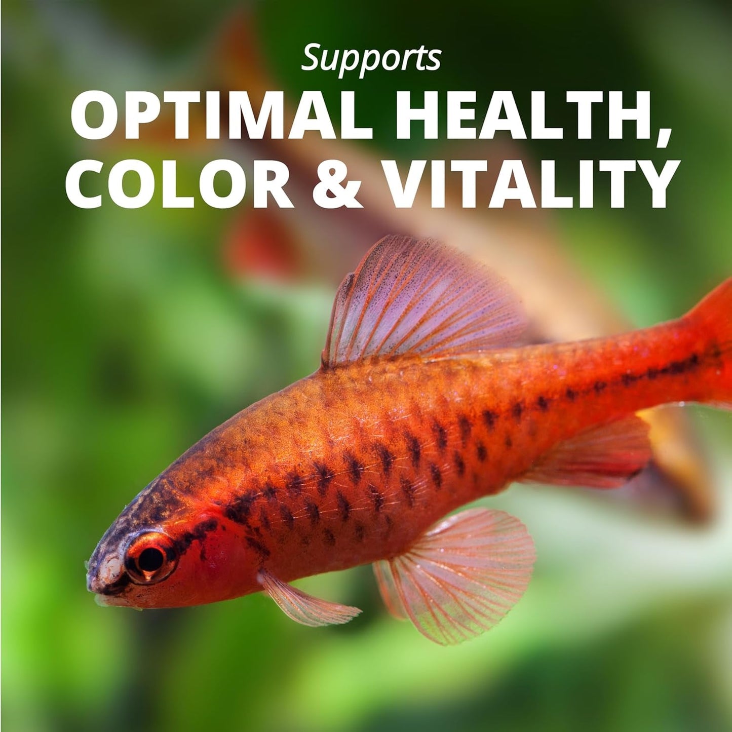 TetraPro Tropical Color Crisps Fish Food Color Enhancing 7.41oz