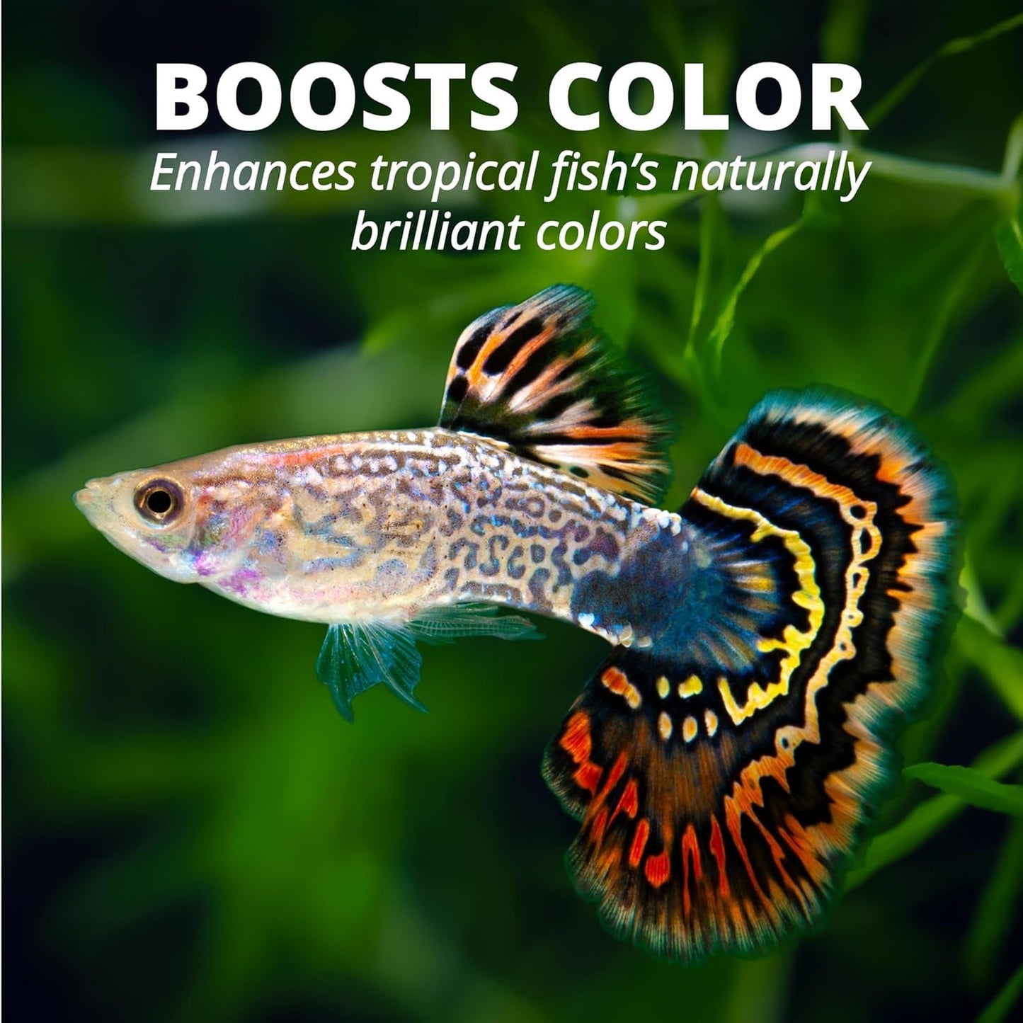 TetraPro Tropical Color Crisps Fish Food Color Enhancing 7.41oz