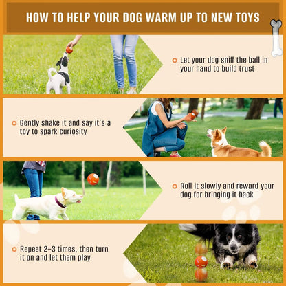 USB Rechargeable Interactive Dog Ball – Automatic Motion Rolling Toy for All Sizes