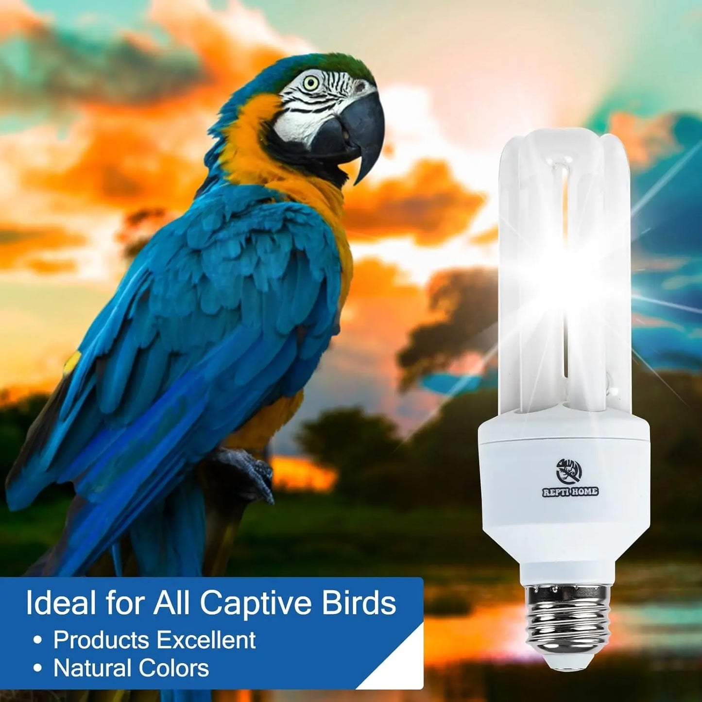 UVA UVB Bird Light Bulb 20W Full Spectrum Compact Lamp for Captive Birds