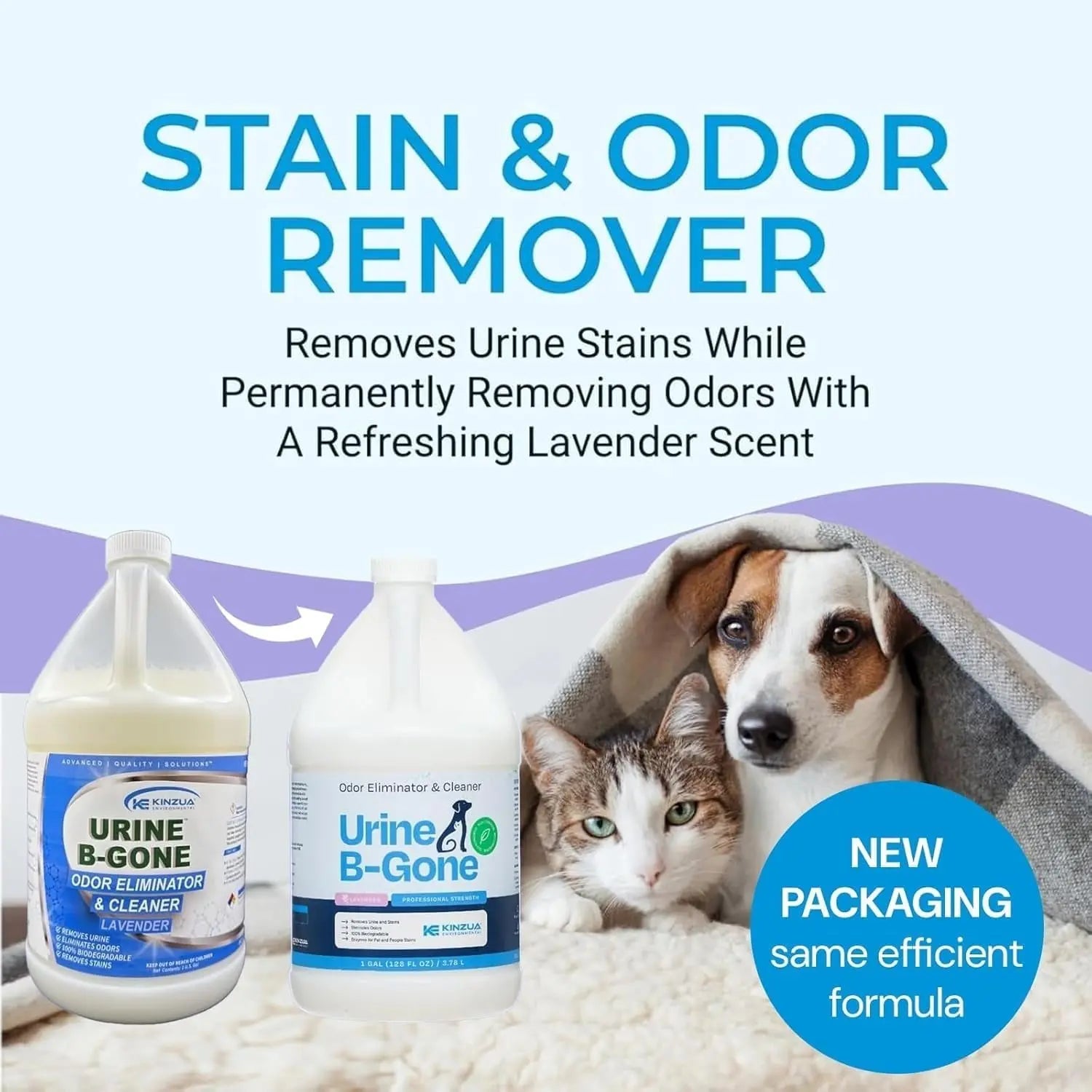 Urine B-Gone Enzyme Pet Odor Eliminator & Stain Remover – Lavender/Citrus Scent