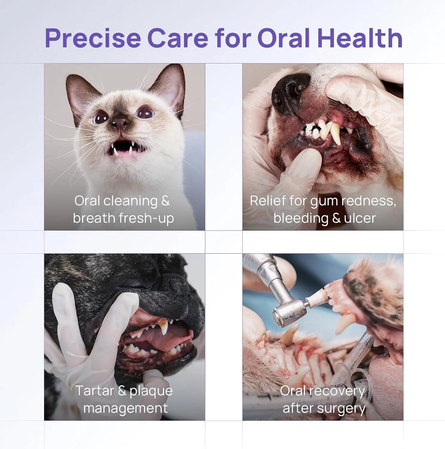 Vet-Recommended Oral Repair Gel for Dogs & Cats, Fresh Breath, Gingivitis Relief & Tartar Prevention