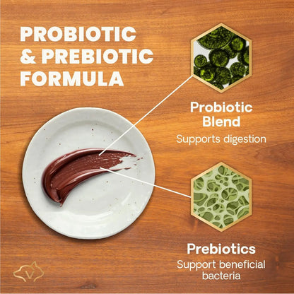 VetriScience Quick Action Diarrhea Aid Paste for Dogs & Cats, 35cc