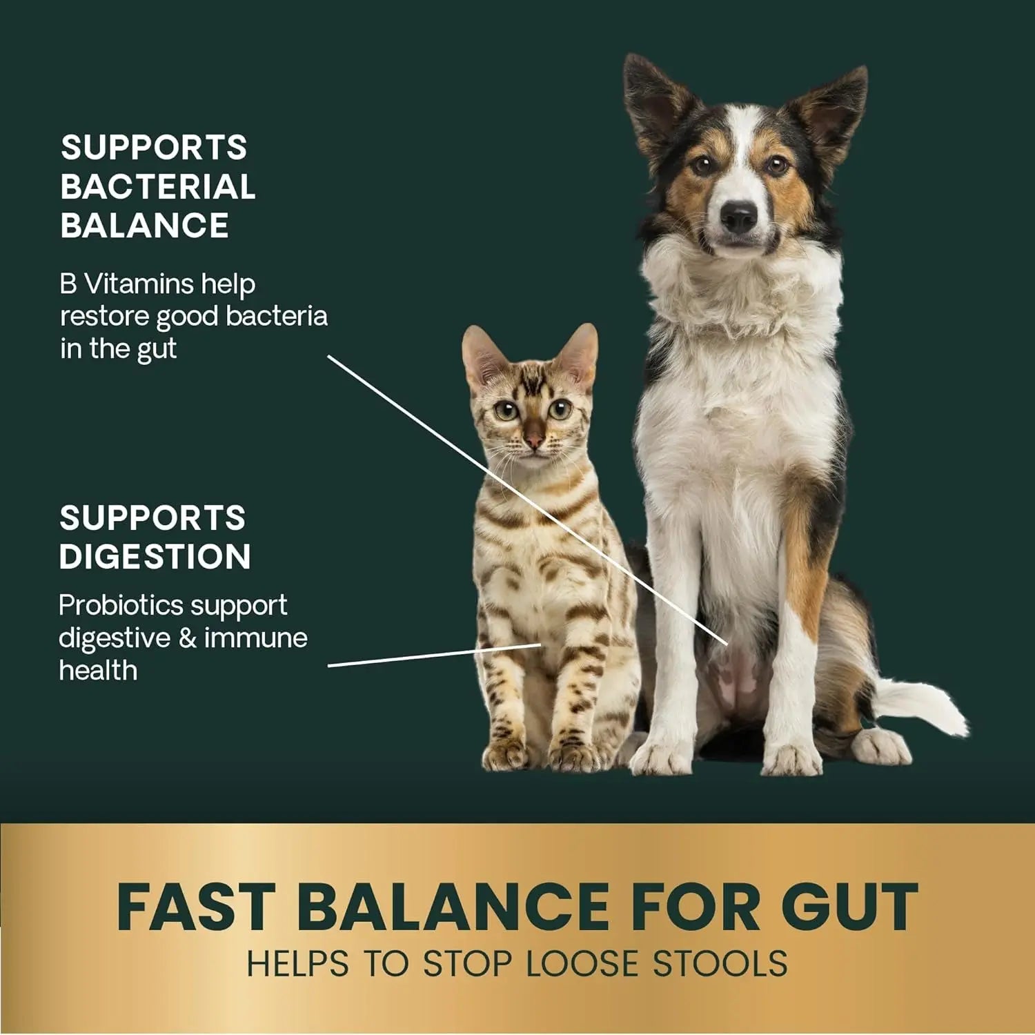 VetriScience Quick Action Diarrhea Aid Paste for Dogs & Cats, 35cc