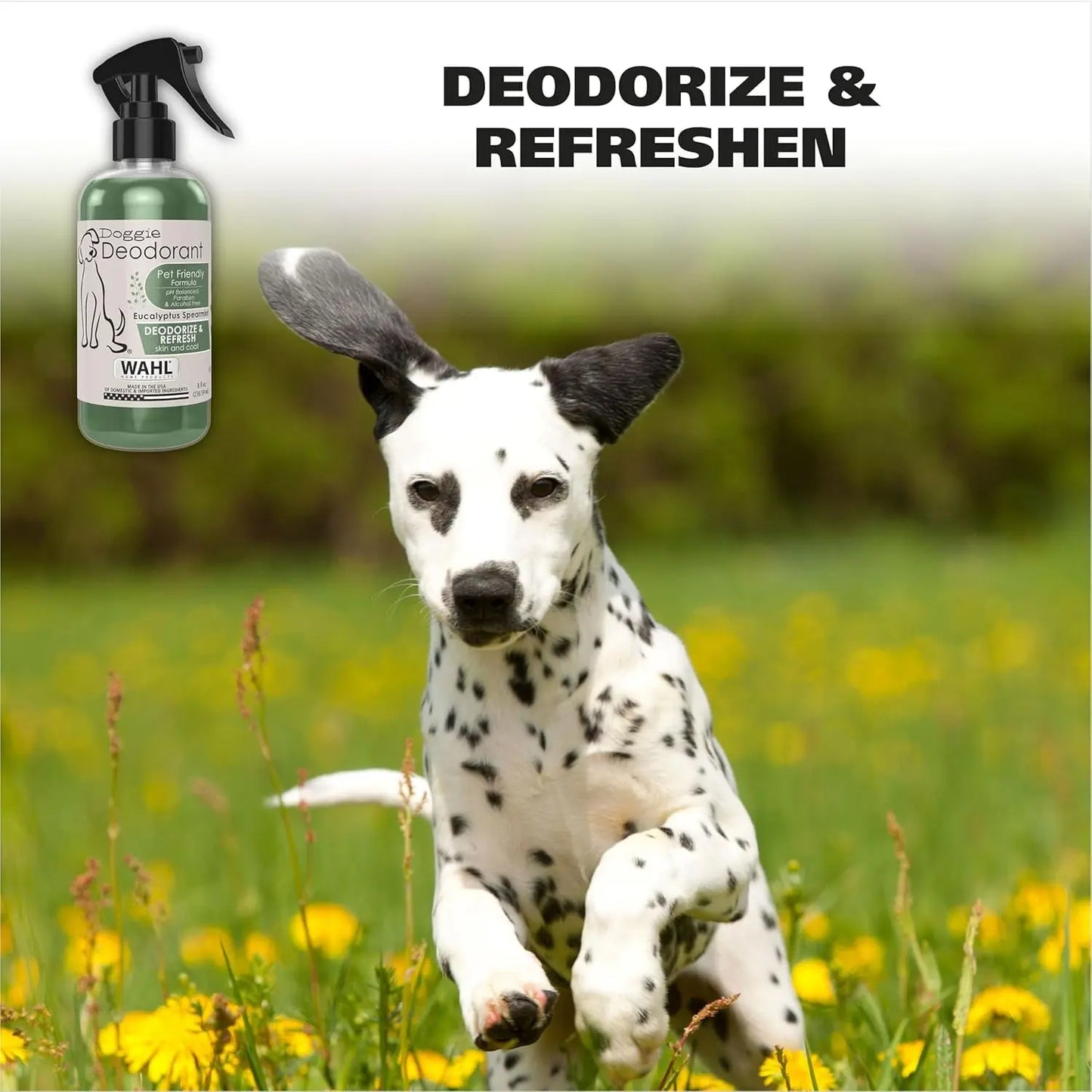 Wahl Eucalyptus & Spearmint Pet Deodorant 8oz – Refreshing Dog Spray