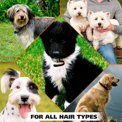 Wahl Eucalyptus & Spearmint Pet Deodorant 8oz – Refreshing Dog Spray