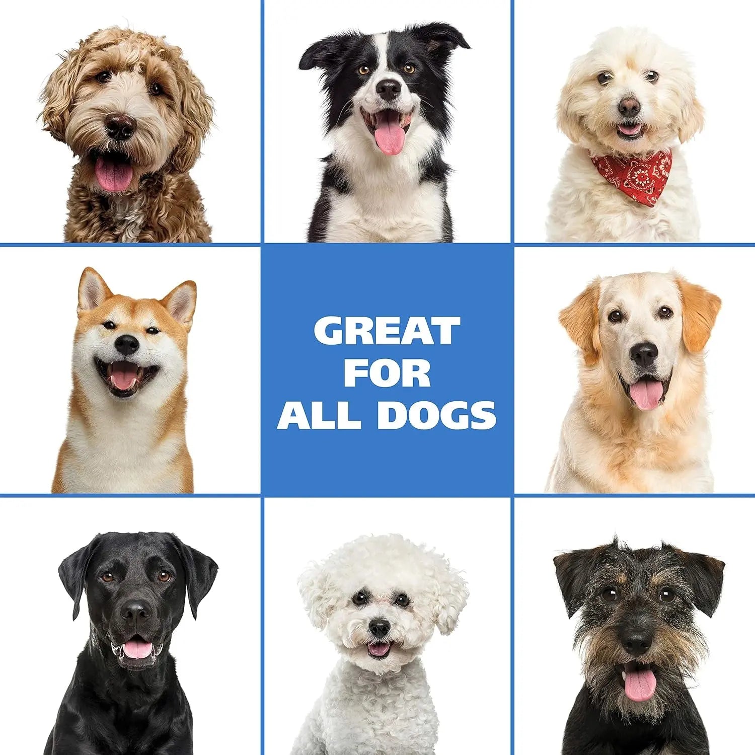 Waterless No Rinse Pet Shampoo Lavender & Chamomile 2-Pack for Dogs & Cats