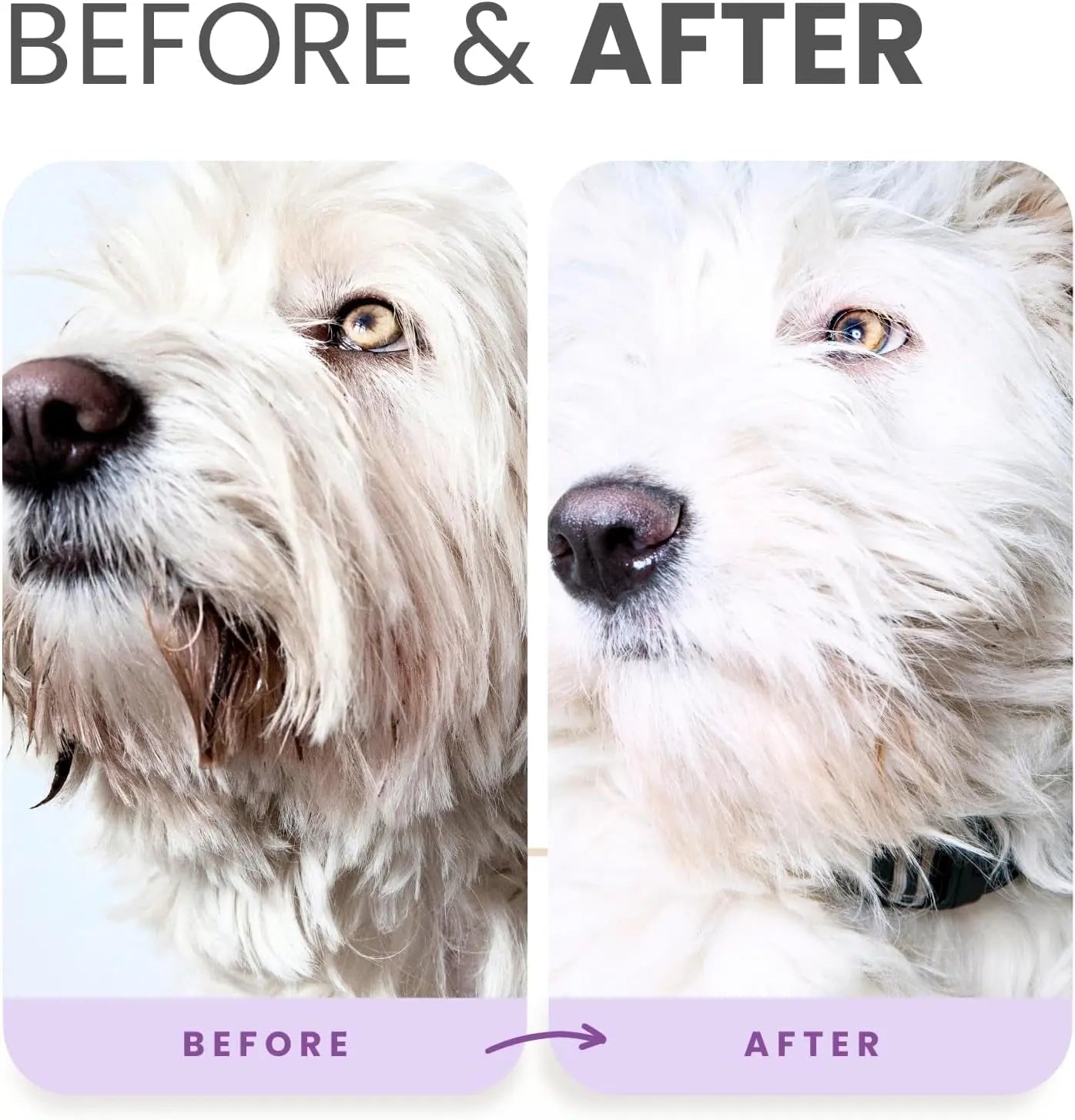 Whitening Dog Shampoo & Leave-In Conditioner Detangler Odor Control Set