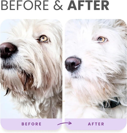 Whitening Dog Shampoo & Leave-In Conditioner Detangler Odor Control Set