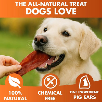 Whole Pig Ears for Dogs Natural Single Ingredient Digestible Rawhide Alternative