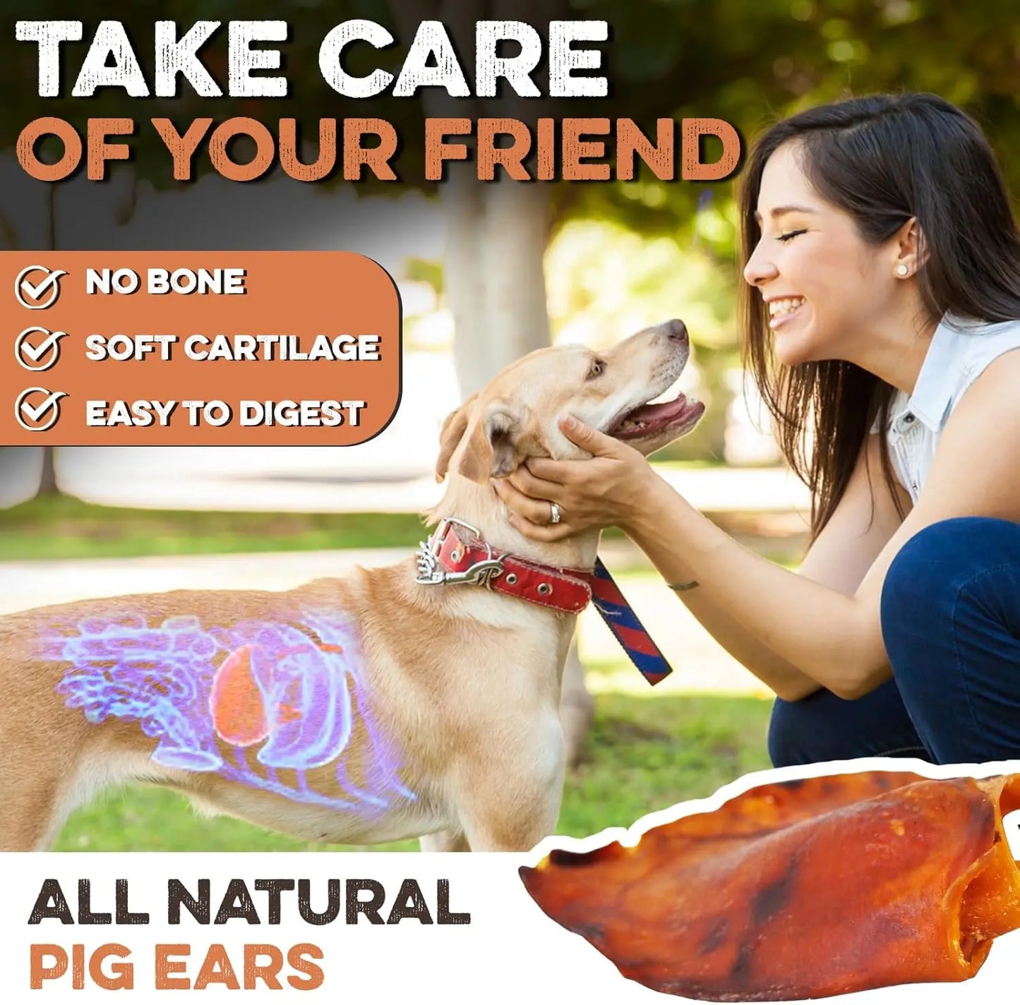 Whole Pig Ears for Dogs Natural Single Ingredient Digestible Rawhide Alternative