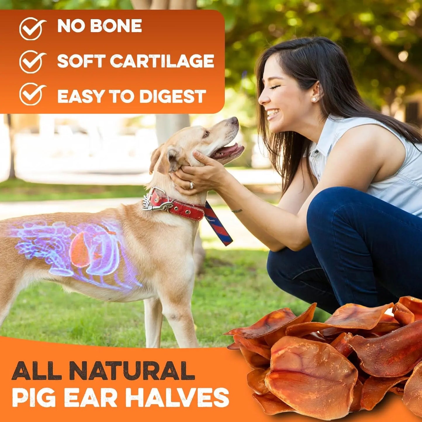 Whole Pig Ears for Dogs Natural Single Ingredient Digestible Rawhide Alternative