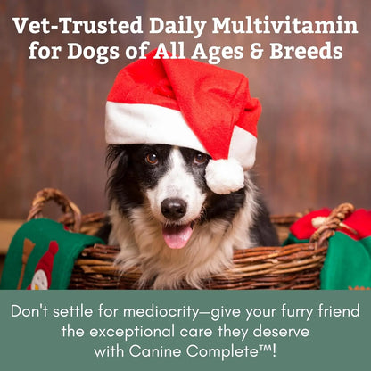 Wholistic Pet Organics Canine Complete 1lb Dog Multivitamin Powder 45 Scoops