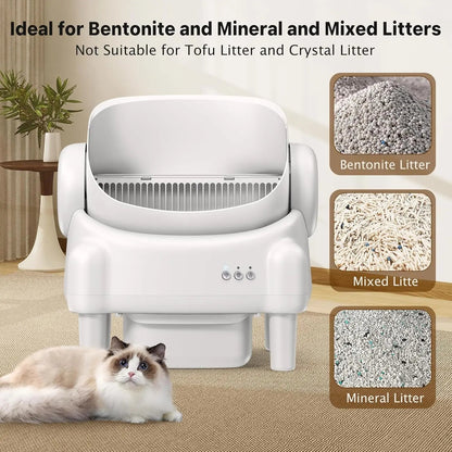 Self-Cleaning WiFi Litter Box – Open Top, Smart App Control & Odor-Free Design