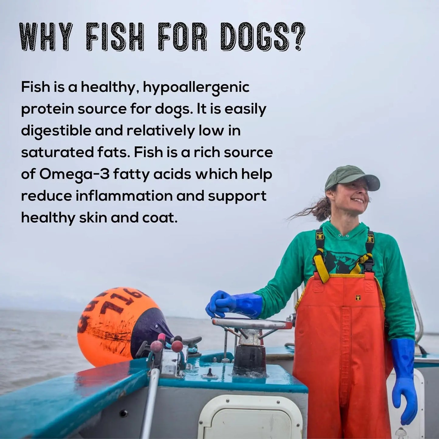 Wild Caught Cod Skins Dog Treats 4.7oz Single Ingredient USA Made