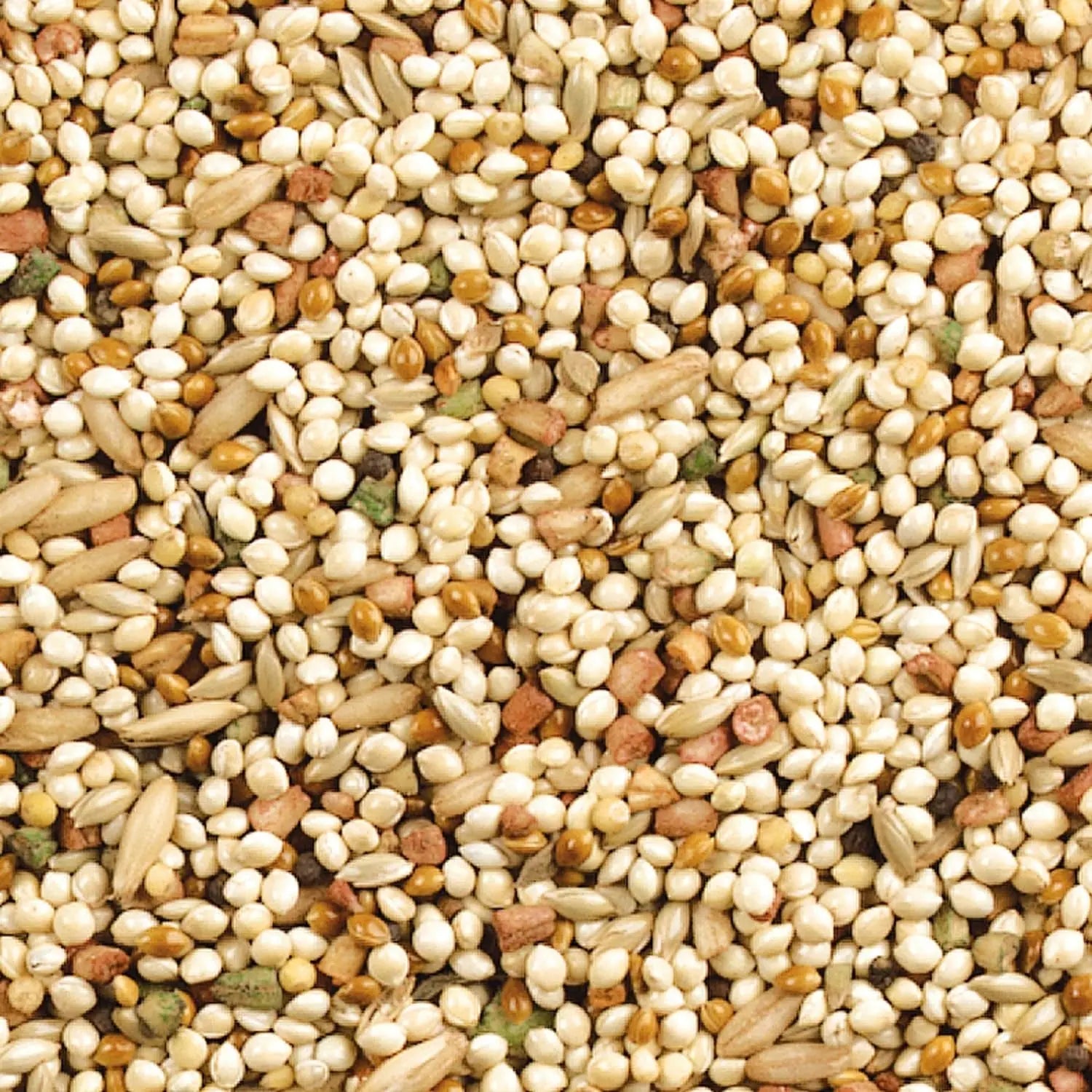 Wild Harvest Daily Blend Bird Food for Parakeet, Canary & Finch