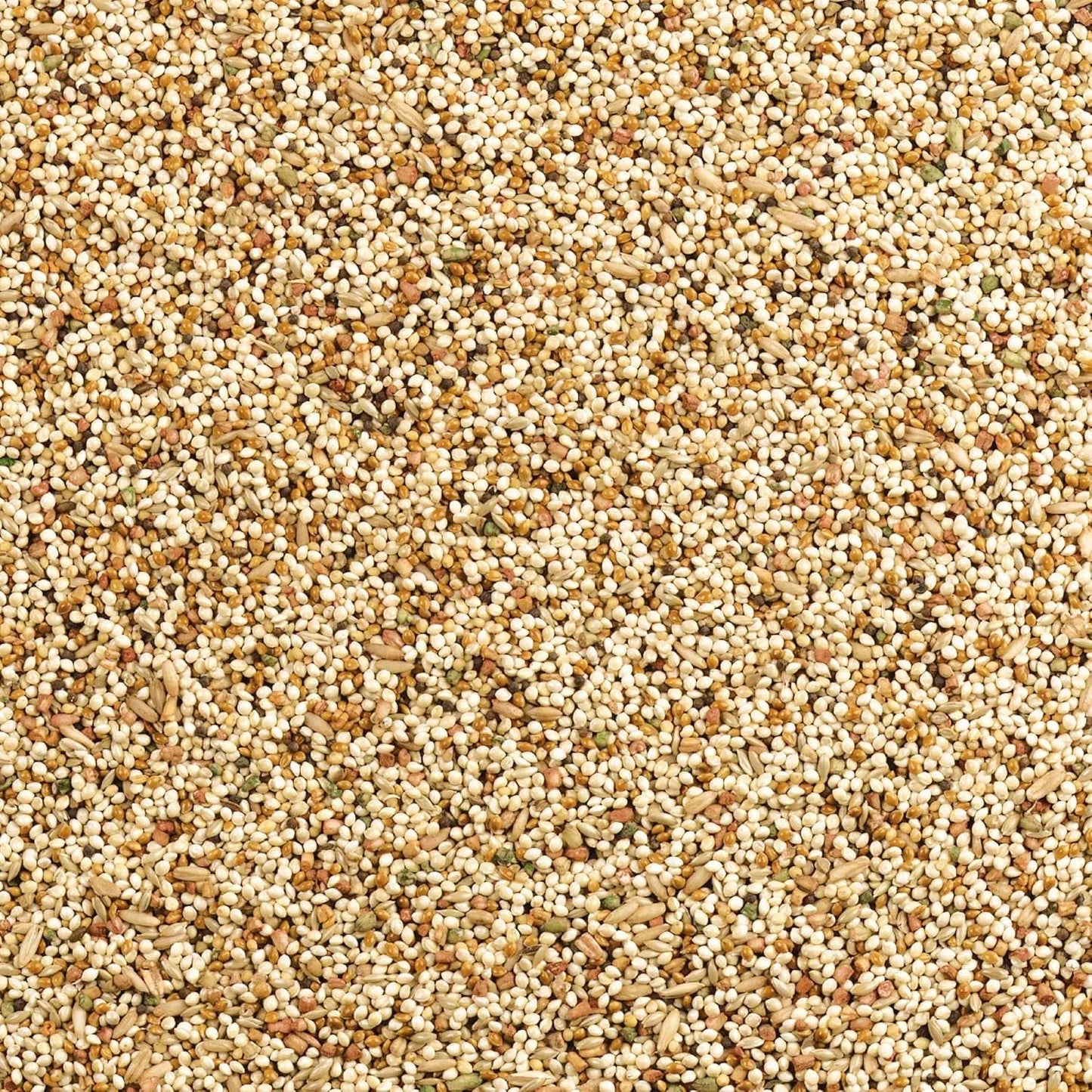 Wild Harvest Daily Blend Bird Food for Parakeet, Canary & Finch