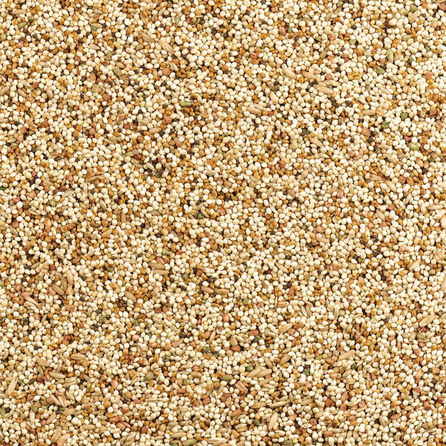 Wild Harvest Daily Blend Bird Food for Parakeet, Canary & Finch