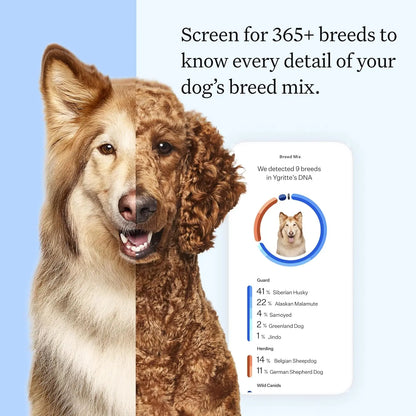 Wisdom Panel Essential Dog DNA Kit – Breed, Health & Trait Insights