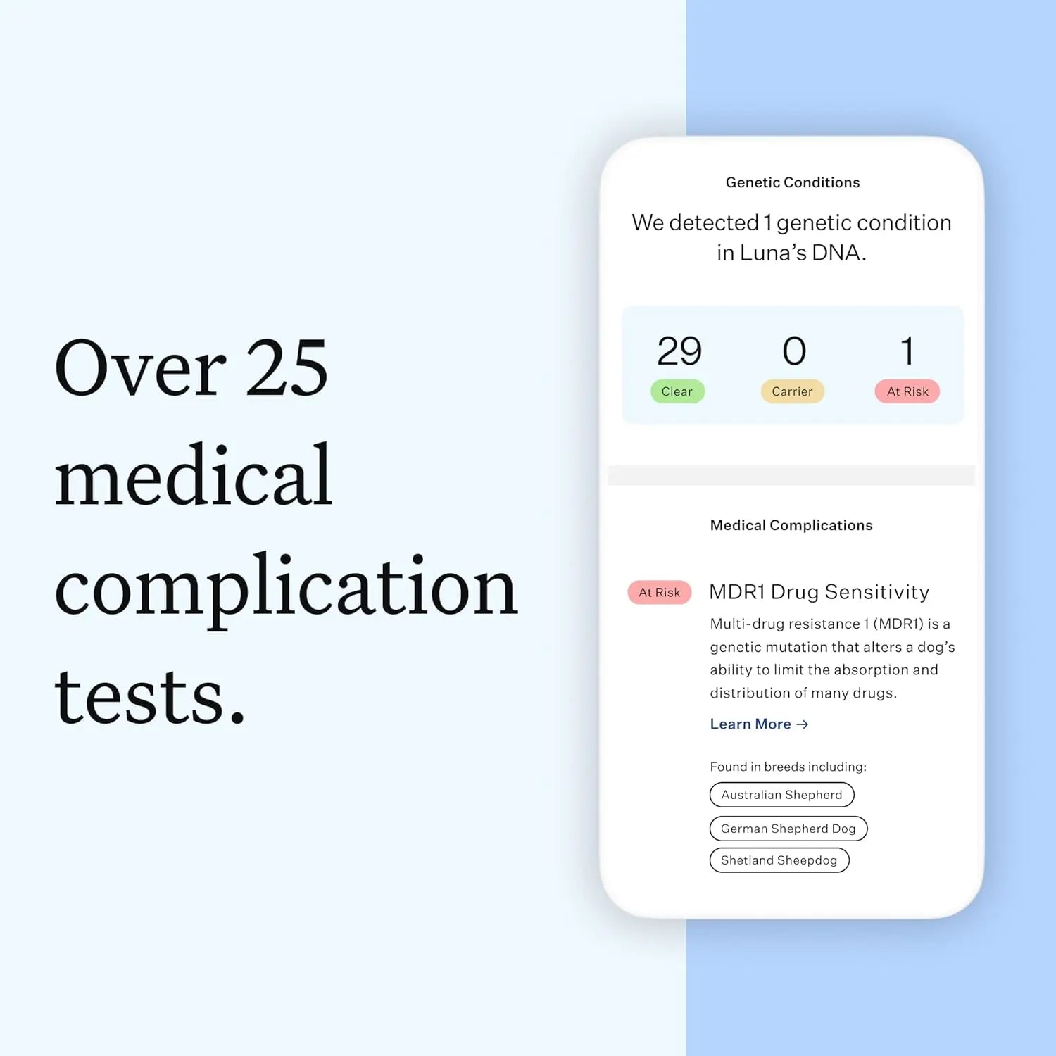 Wisdom Panel Essential Dog DNA Kit – Breed, Health & Trait Insights