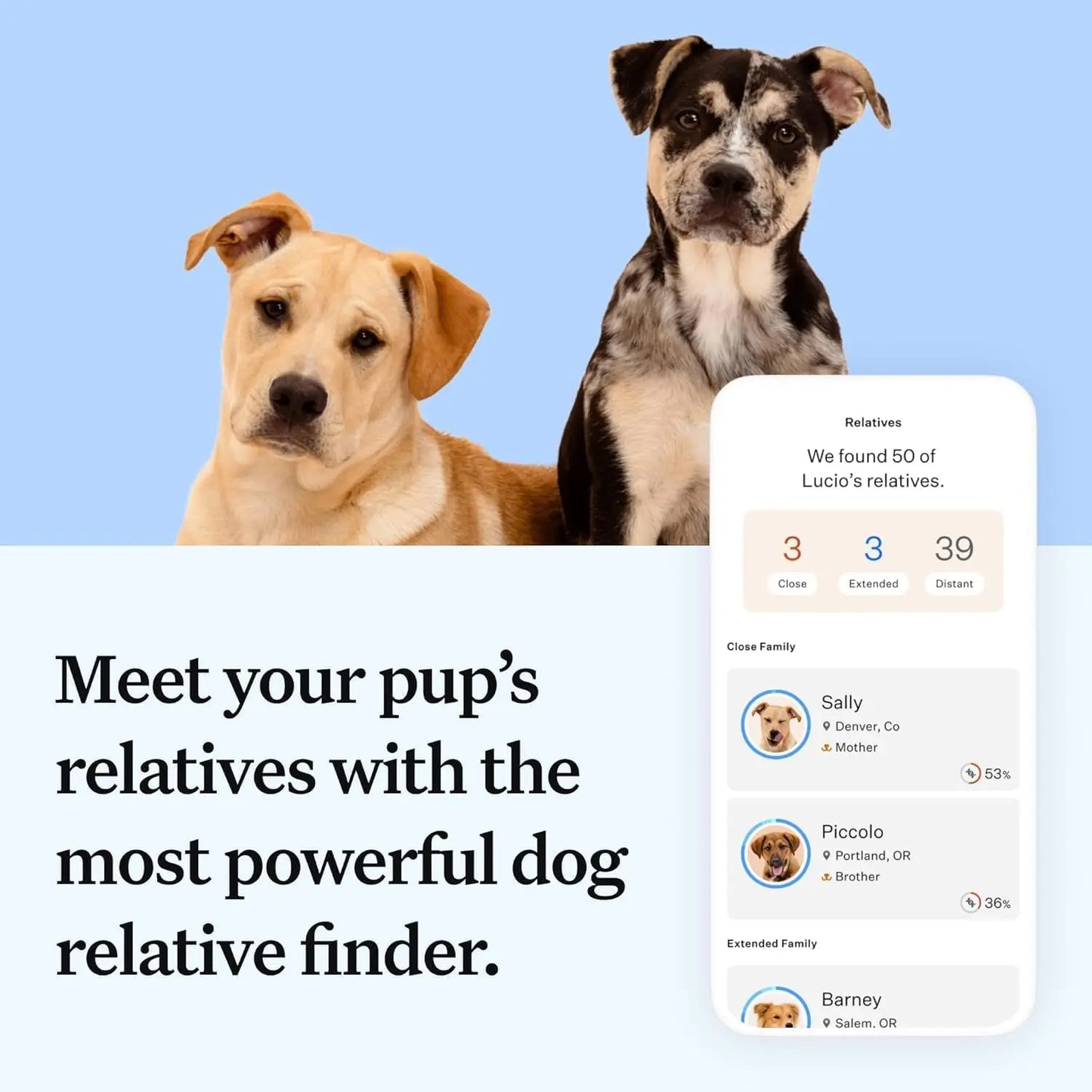 Wisdom Panel Essential Dog DNA Kit – Breed, Health & Trait Insights