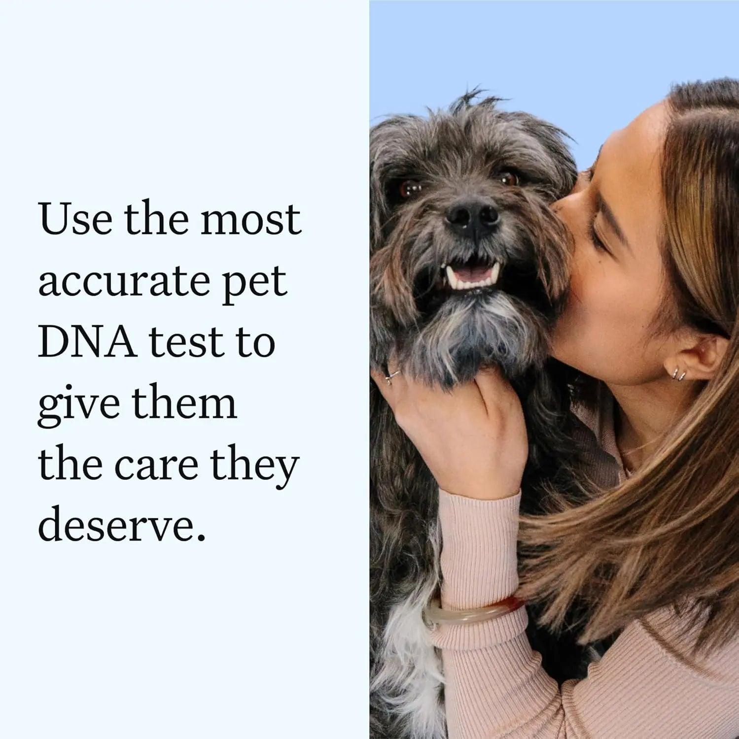 Wisdom Panel Essential Dog DNA Kit – Breed, Health & Trait Insights