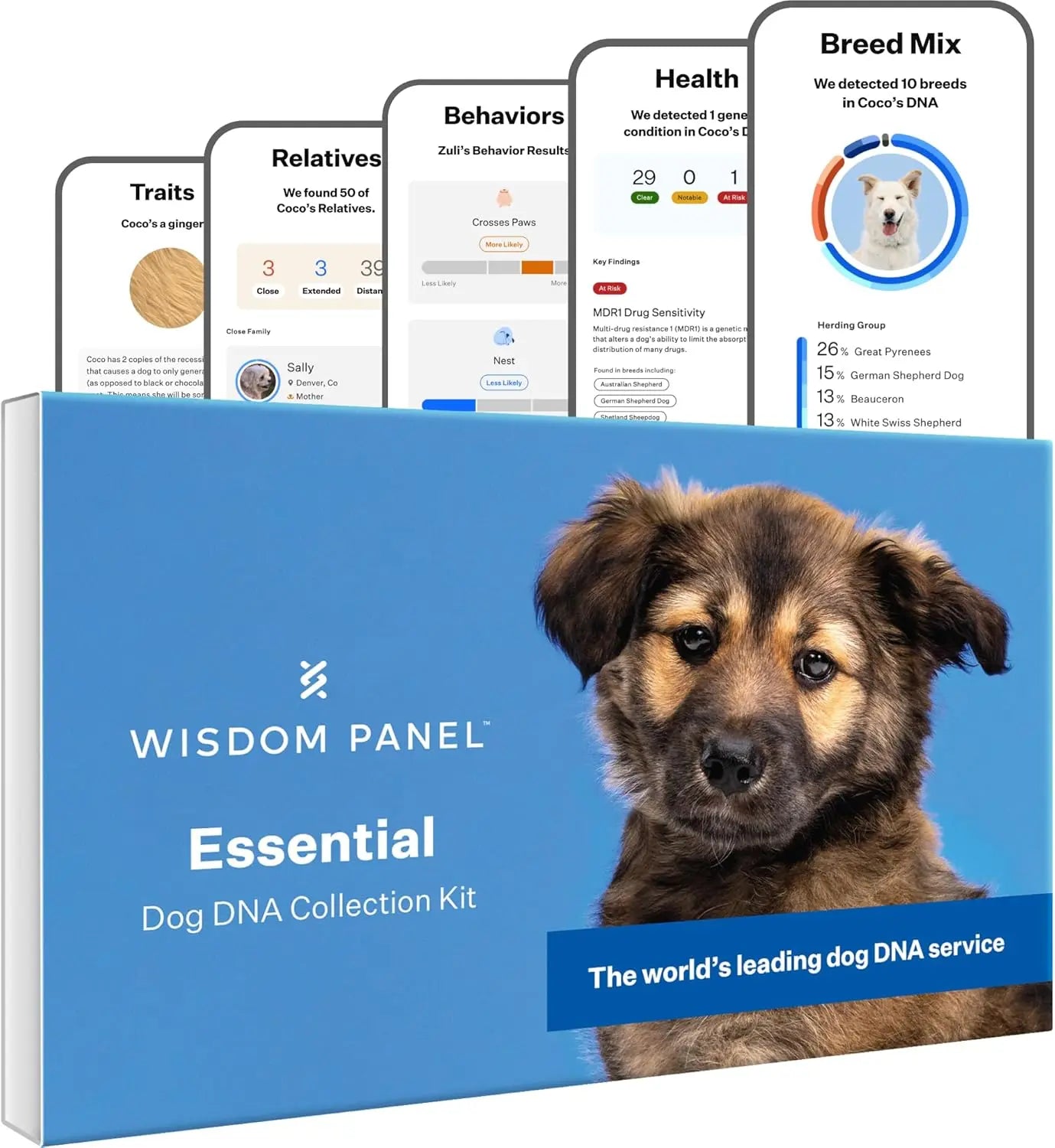 Wisdom Panel Essential Dog DNA Kit – Breed, Health & Trait Insights 1 Count (Pack Of 1)