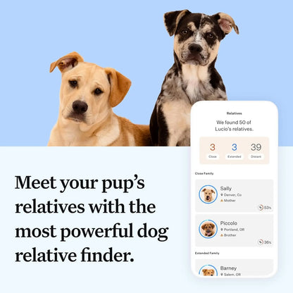 Wisdom Panel Essential Dog DNA Kit – Breed, Health & Trait Insights