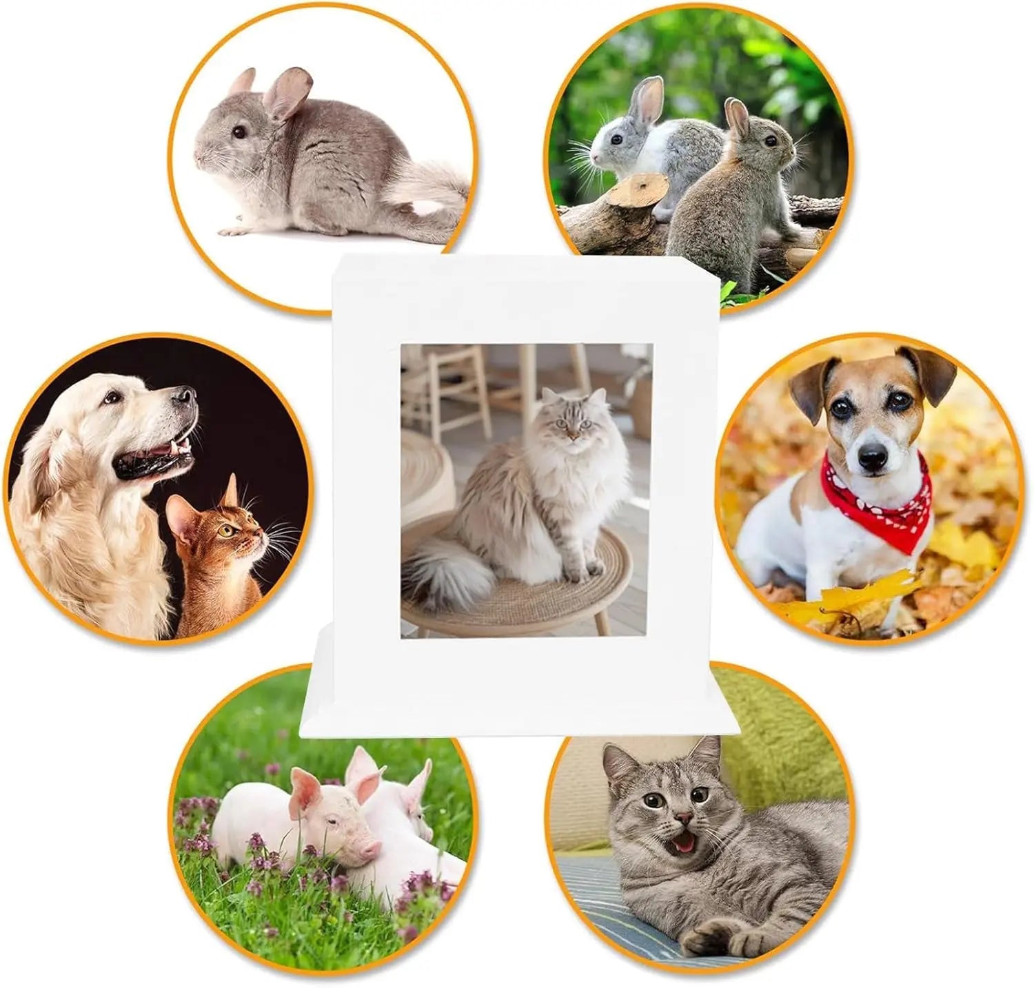 Wooden Pet Memorial Urn with Photo Frame Keepsake Box for Dogs & Cats