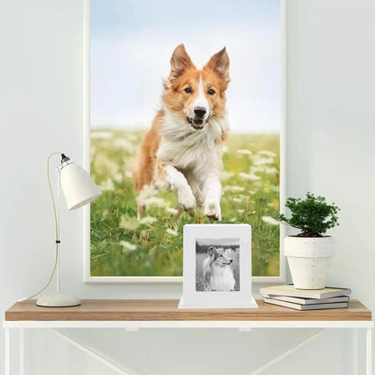 Wooden Pet Memorial Urn with Photo Frame Keepsake Box for Dogs & Cats