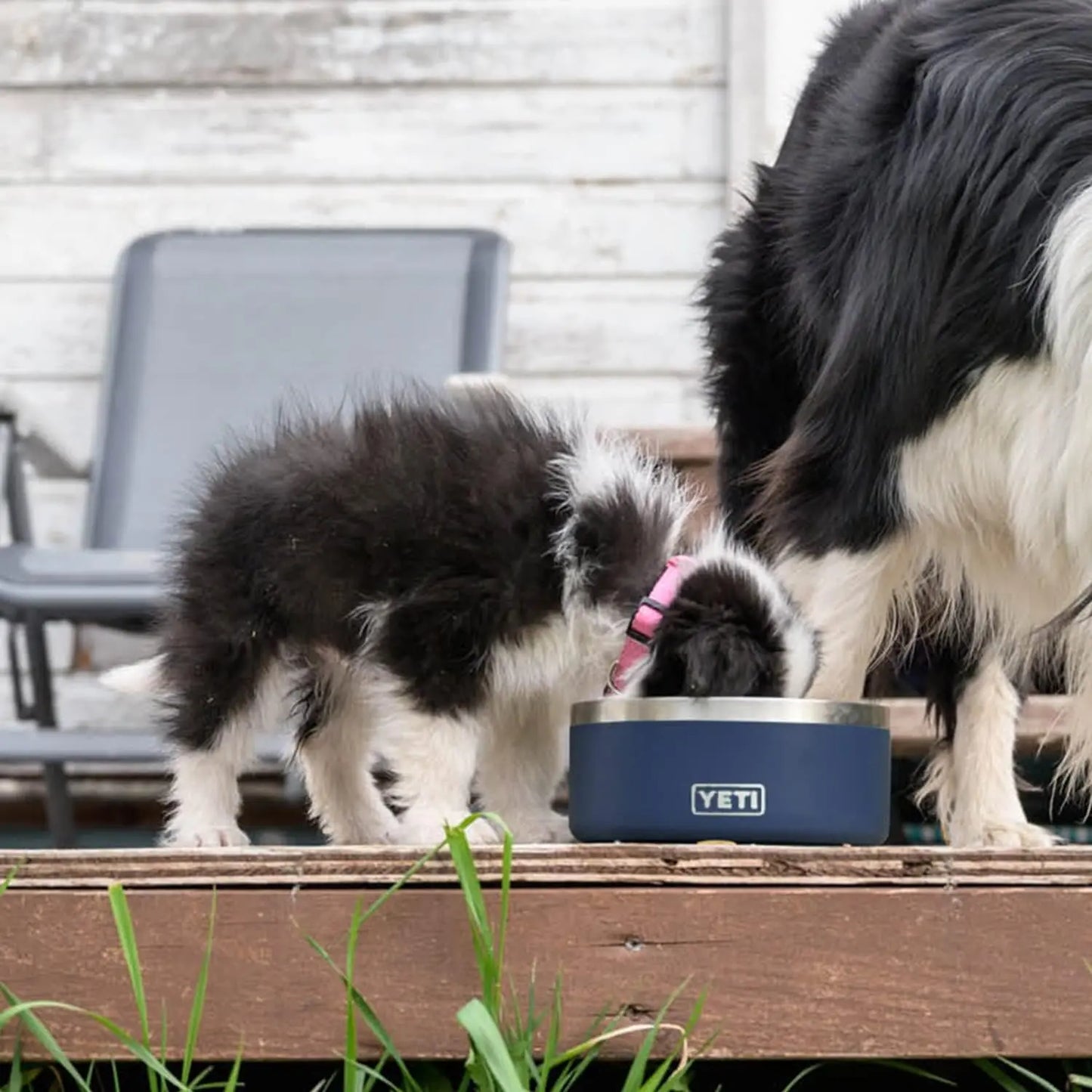 YETI 8, Stainless Steel, Non-Slip Dog Bowl, Holds 64 Ounces